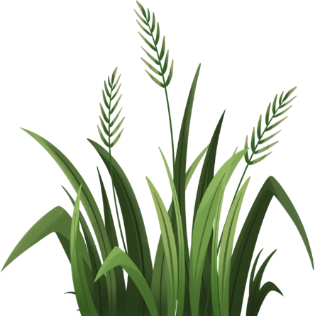 green grass illustration 10