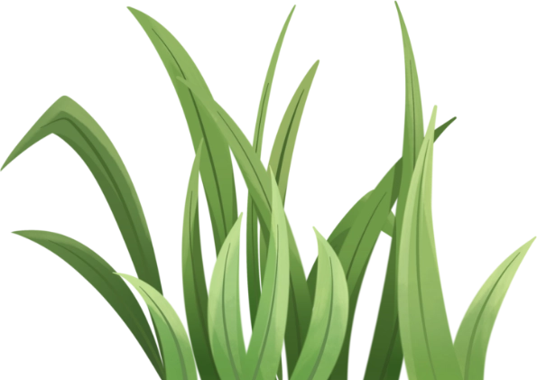 green grass illustration 4